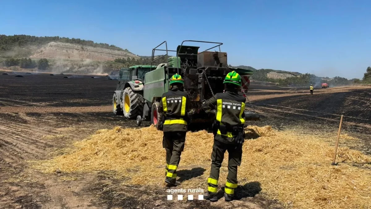 Seis fuegos simultáneos causan alarma y uno corta la alta velocidad tres horas
