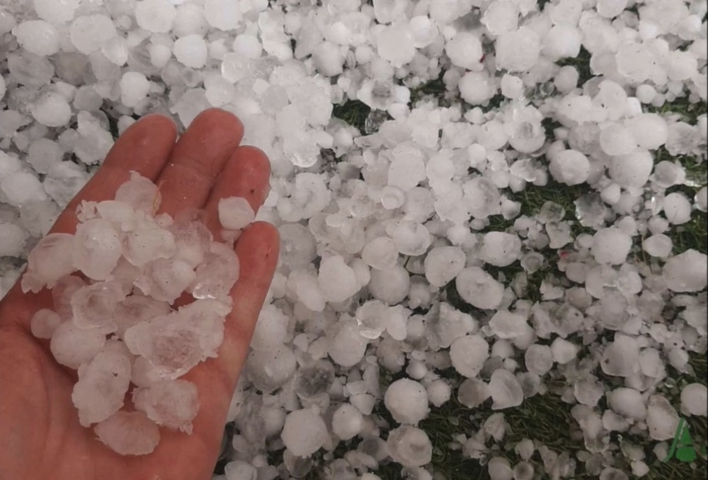 Tormentas causan daños en cultivos de Cuenca: granizo, viento y precipitaciones afectan a explotaciones agrícolas