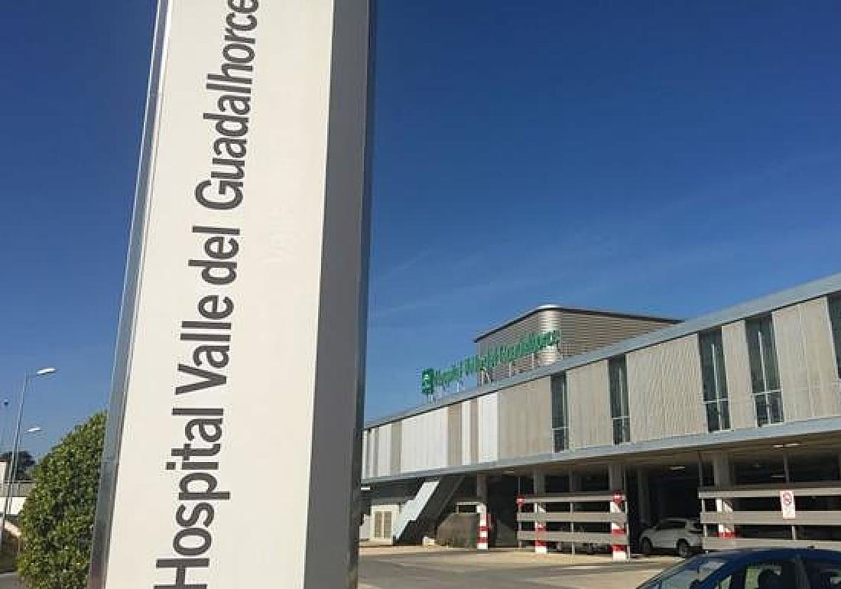Muere una niña de tres años ahogada en una piscina en Málaga