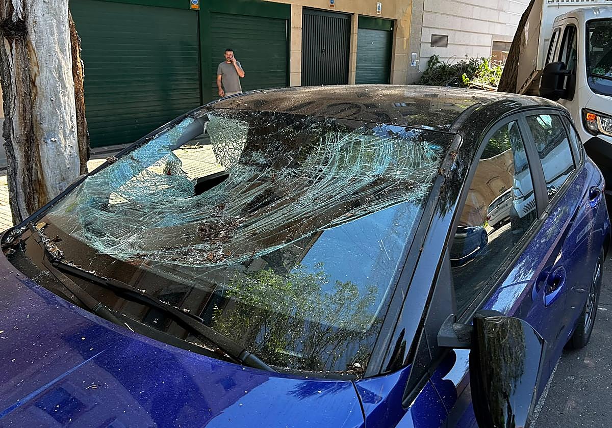 Se desploma un árbol de grandes dimensiones y destroza la parte superior de dos coches estacionados en Salamanca