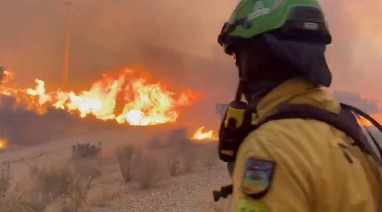La Junta apunta al tendido eléctrico como el posible origen del incendio forestal en Los Gallardos
