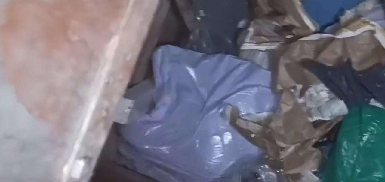 Agentes de la Policía Local de Almonte rescatan a una cachorra abandonada en un contenedor soterrado