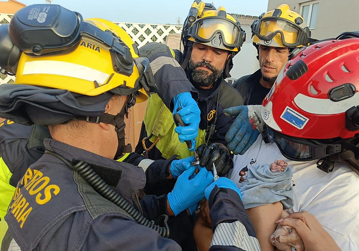 Bomberos de Gran Canaria rescatan a un gato esfinge atrapado en un sumidero en Vecindario