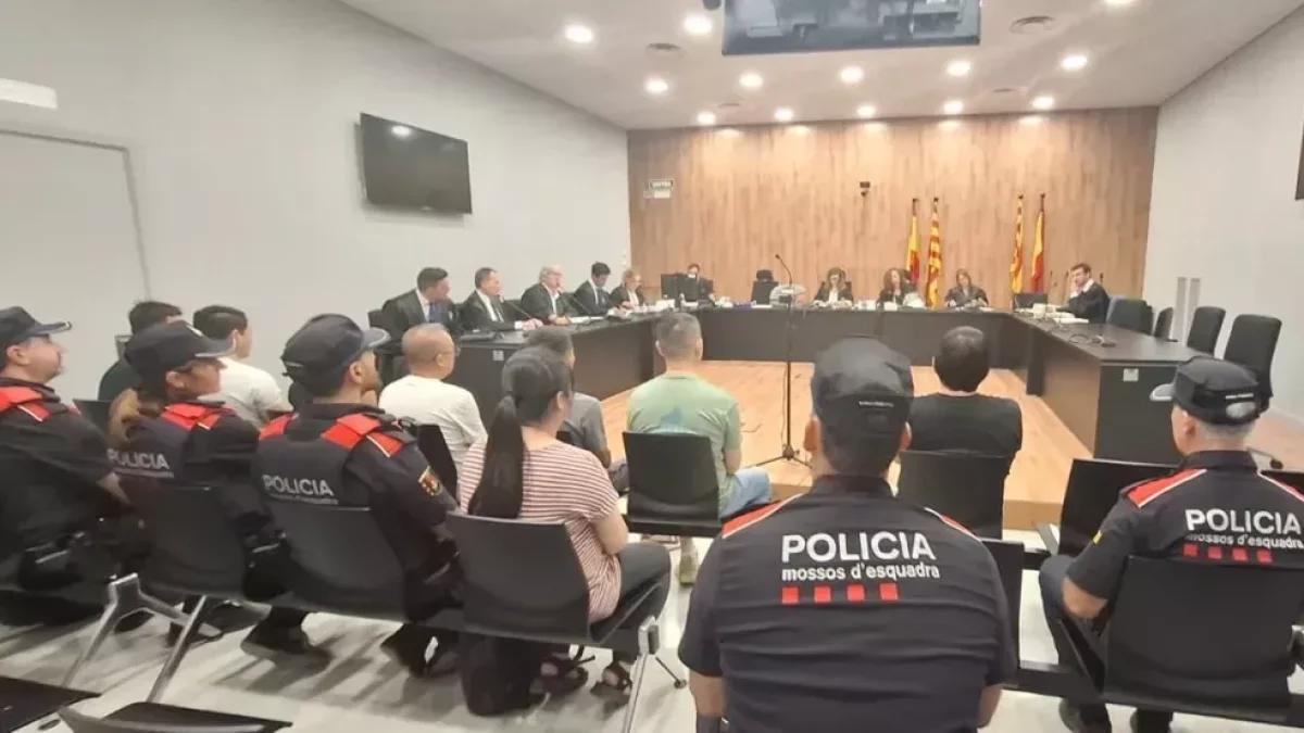 Hasta tres años y medio de prisión por contrabando de angulas vivas desde una localidad de Lleida
