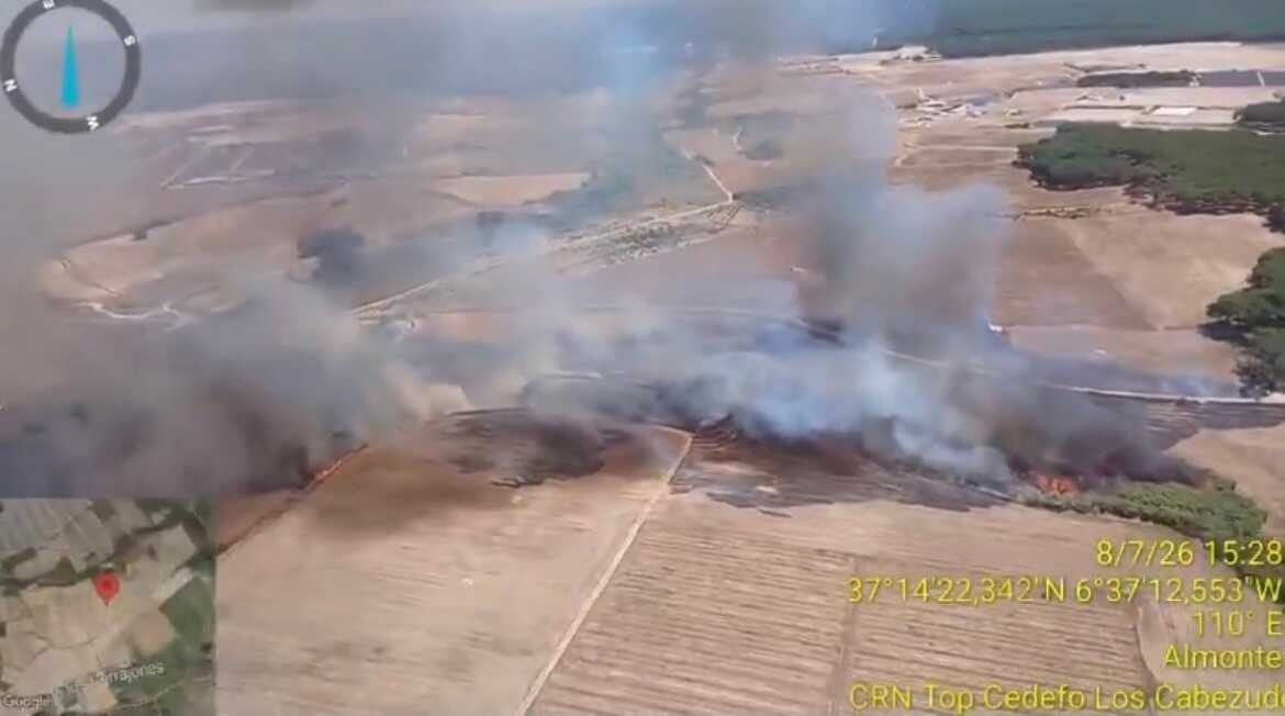 Declarado un incendio forestal en Rociana del Condado: movilizados 34 efectivos y varios medios terrestres