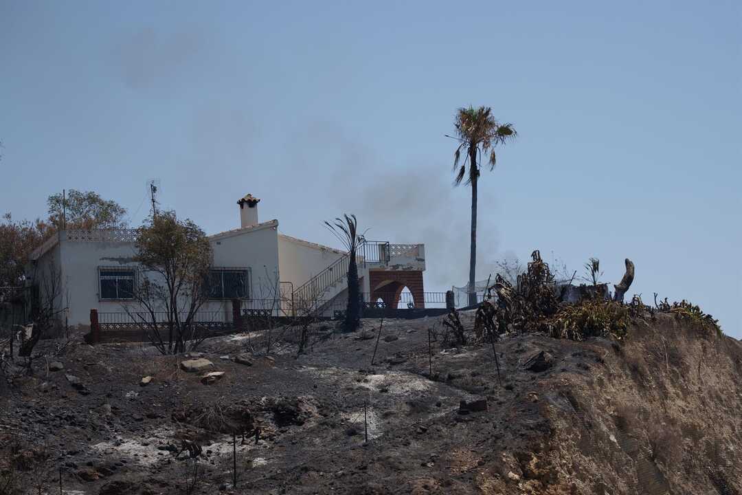 Sigue la lucha en Los Gallardos:  414 efectivos del Estado colaboran en la extinción, según Protección Civil