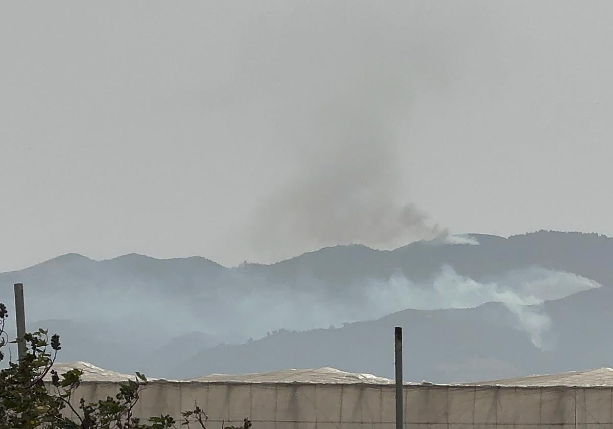 Detectan conato de incendio en la carretera GC-130 en Gran Canaria. Movilizados recursos de emergencia.