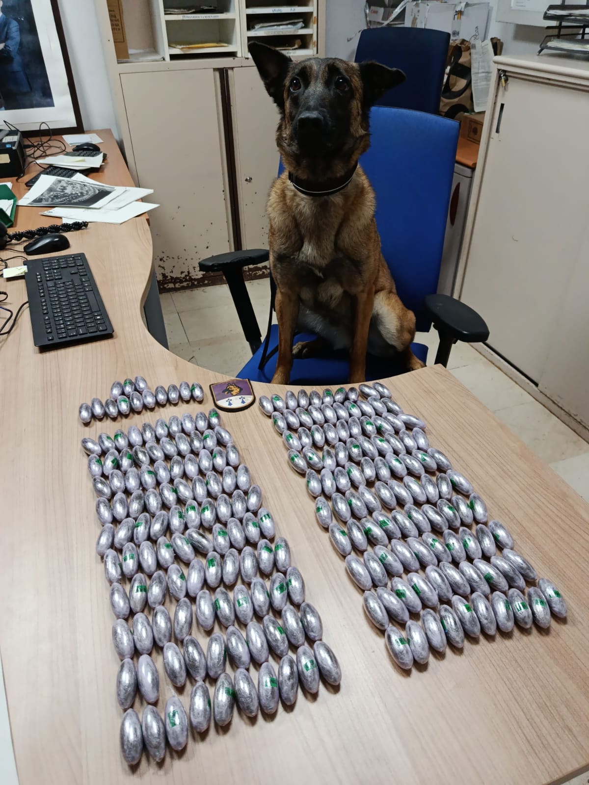Una mujer, detenida en la frontera tras intentar entrar en la ciudad con 213 bellotas de hachís