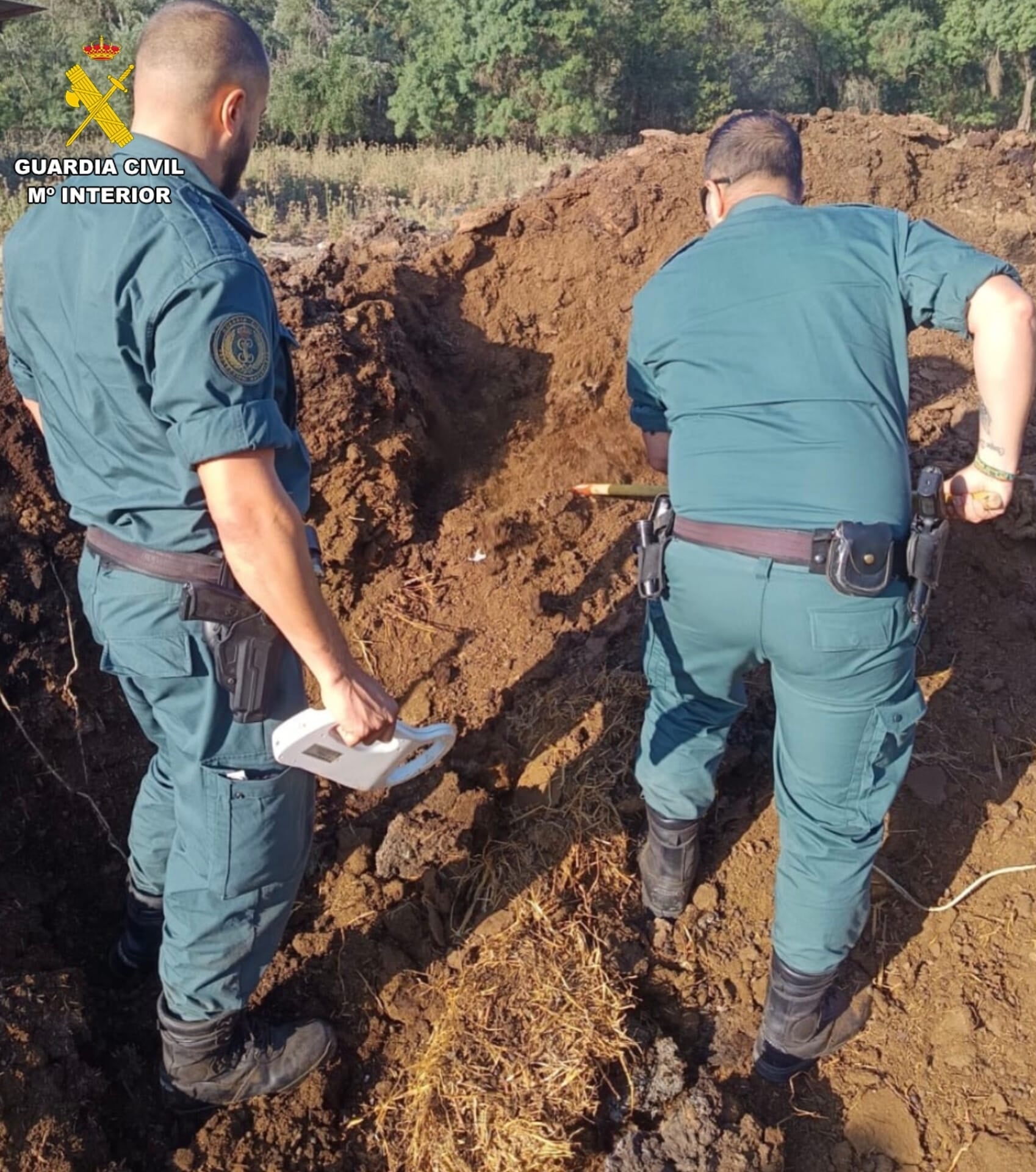 Perros muertos a tiros en Illescas: lo que ocurrió