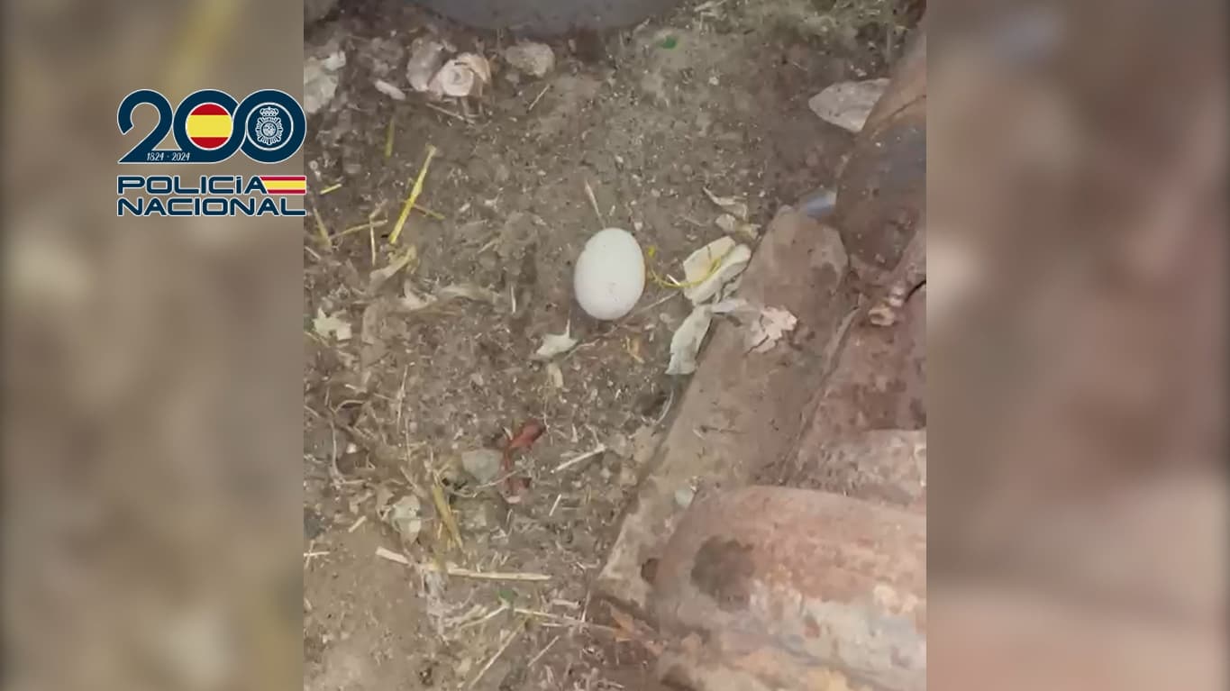 Detenidos dos hombres tras robo con fuerza en Fuenlabrada: uno vivía en condiciones infrahumanas