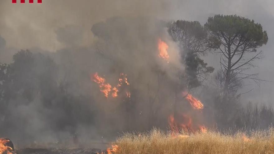Detienen a un hombre por provocar un incendio forestal en Barcelona