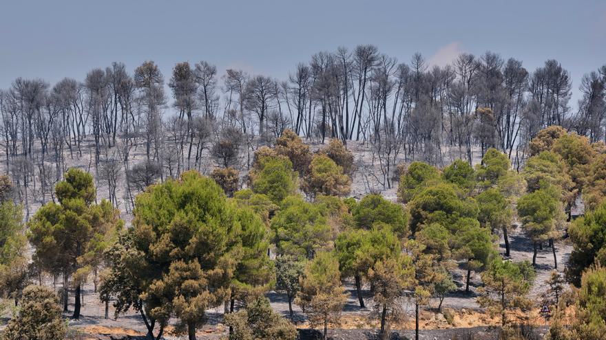 Estabilizado el incendio forestal en Teruel y desmovilizada la unidad de emergencia