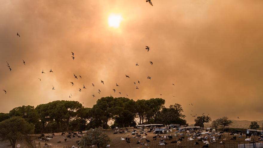 Los incendios causan la segunda emergencia 'nacional' tras la del apagón