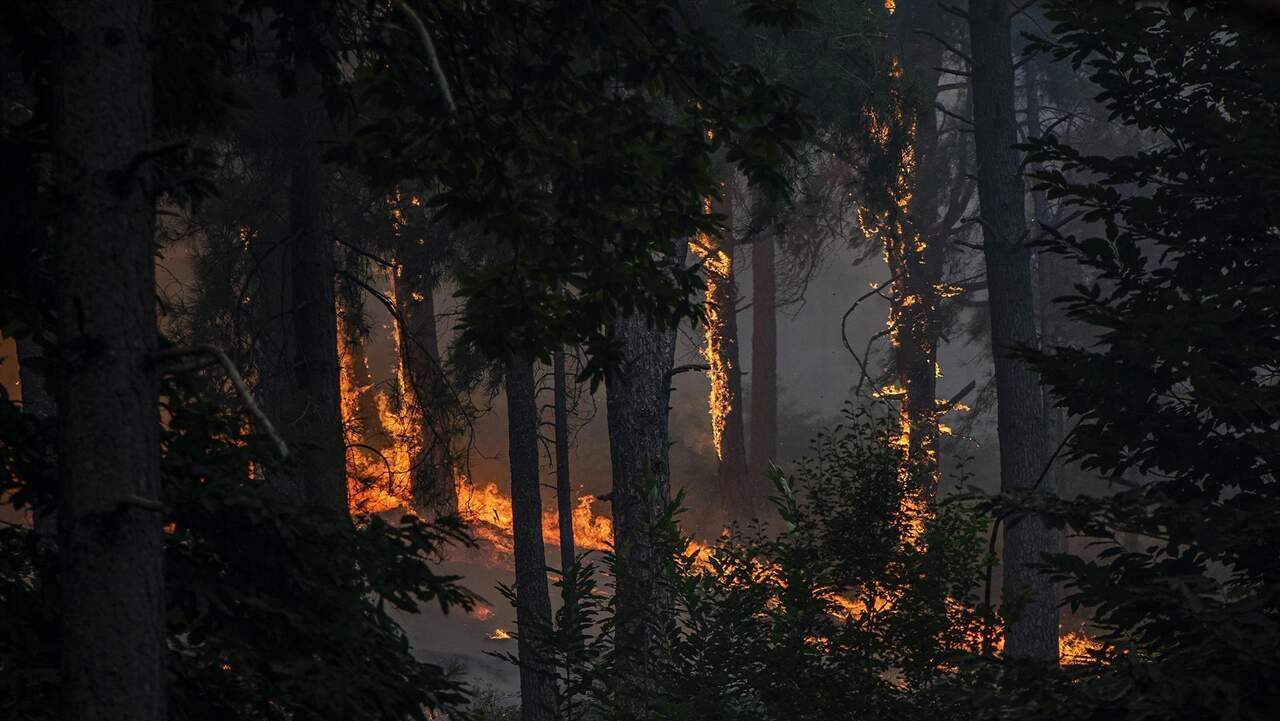 El Gobierno declara 211 zonas afectadas por emergencias y activa las ayudas por los incendios