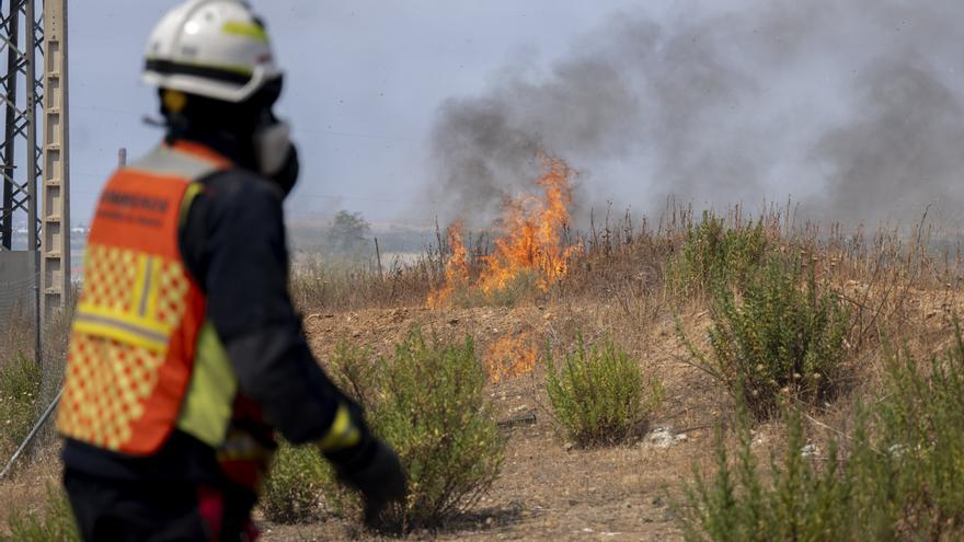 El Gobierno español solicita ayuda europea para combatir incendios en Madrid y Ávila