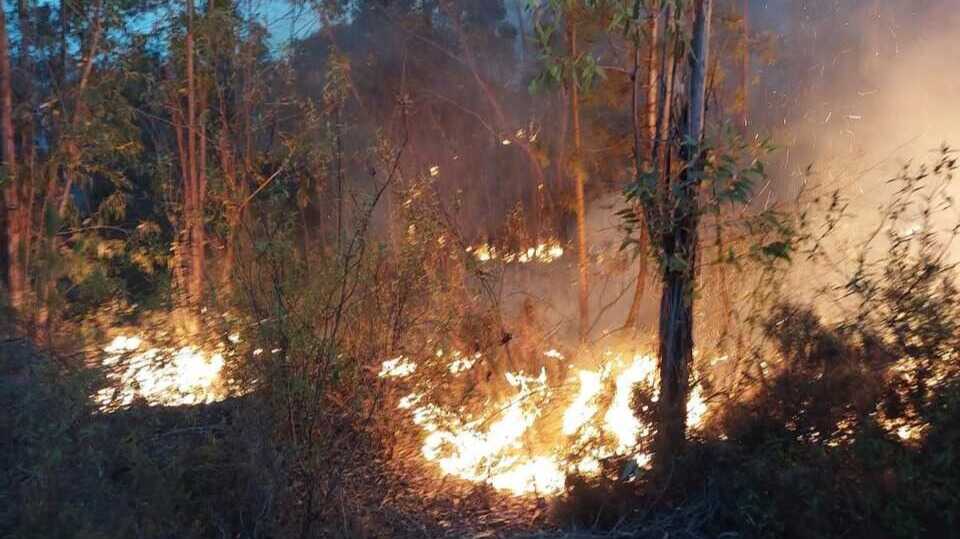El Plan Infoca da por extinguido incendio en Almonaster la Real tras más de dos días de operativo