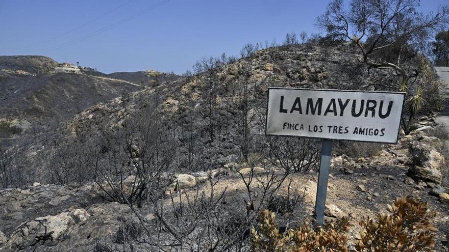 Identificadas las 13 víctimas mortales del incendio de Los Gallardos