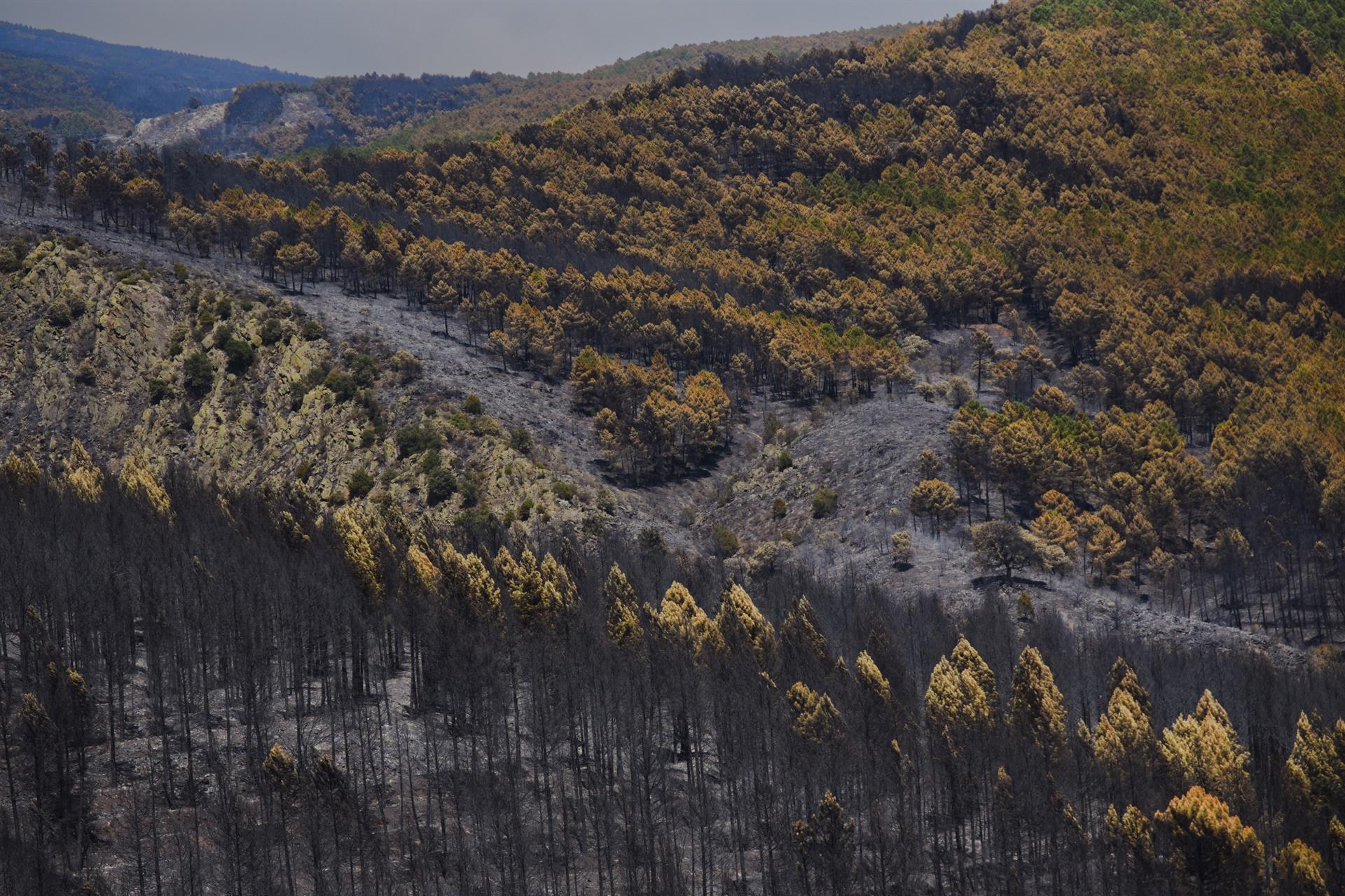 El fuego de La Mierla afecta a 16.000 has, deja 20 pueblos evacuados, 5 confinados y 800 personas desplazadas