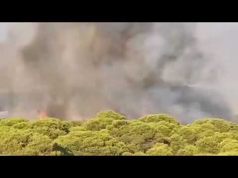 Declarado un incendio pr&oacute;ximo Islantilla Golf, en Lepe