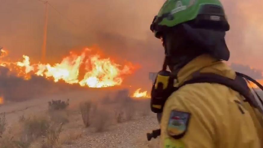 El incendio de Los Gallardos desciende a una "situación operativa cero"