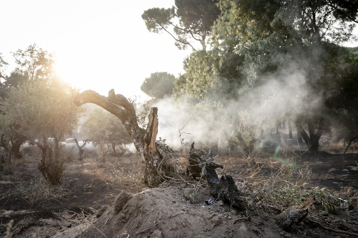 Incendios: Toque de arrebato, o unidad, o nos quemamos todos