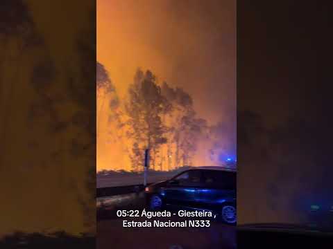 Alerta tras el incendio de Vouzela en Portugal  (@miquelbaptista1012)