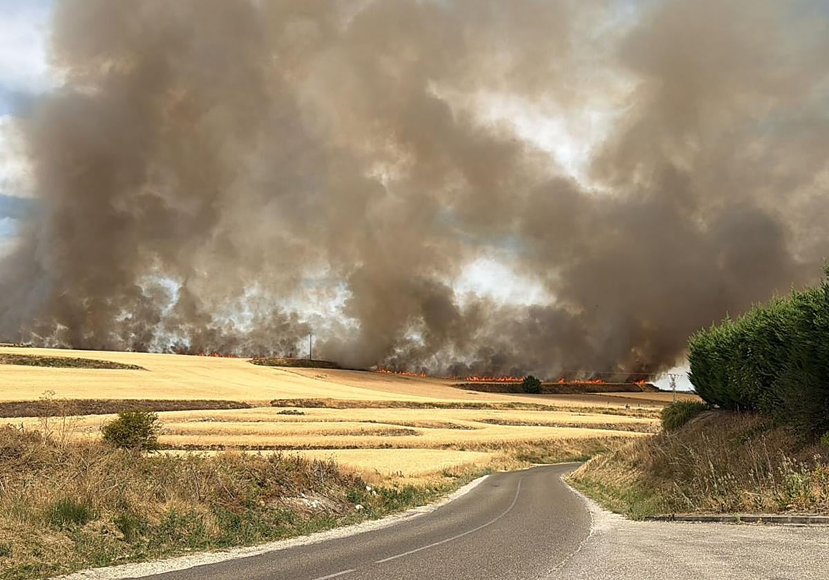 Declarado un incendio de cultivo en las afueras de Burgos