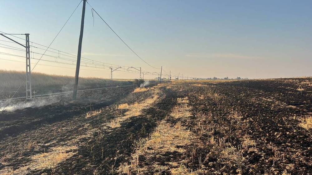 Más de 15 medios luchan contra las llamas de Villada a Paredes