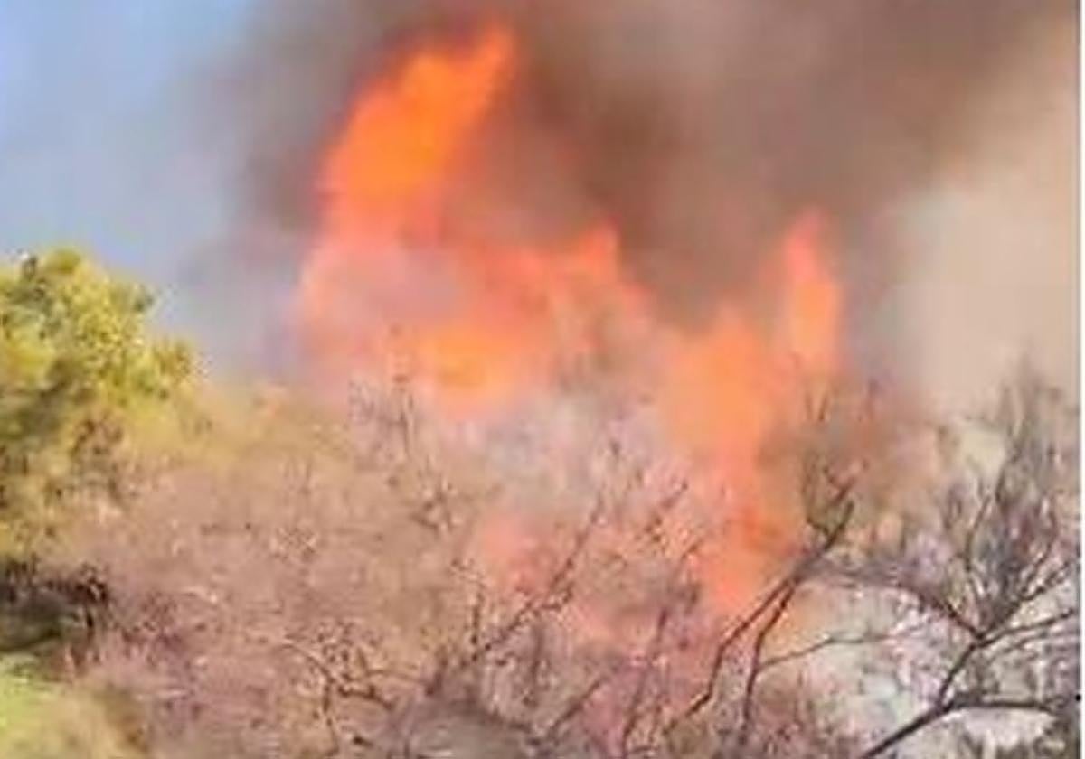 Cortado un carril de la A-7 por un incendio en Marbella