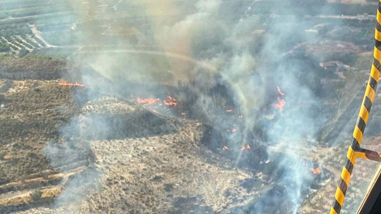 Controlado un incendio forestal en Villanueva del Río Segura