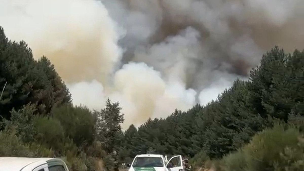 Incendio forestal desatado en La Utrera.