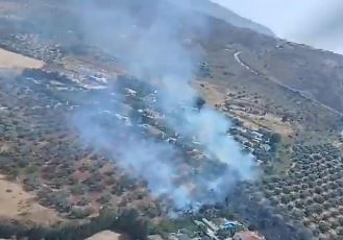Incendio forestal en Antequera: Bomberos logran controlar las llamas con rapidez