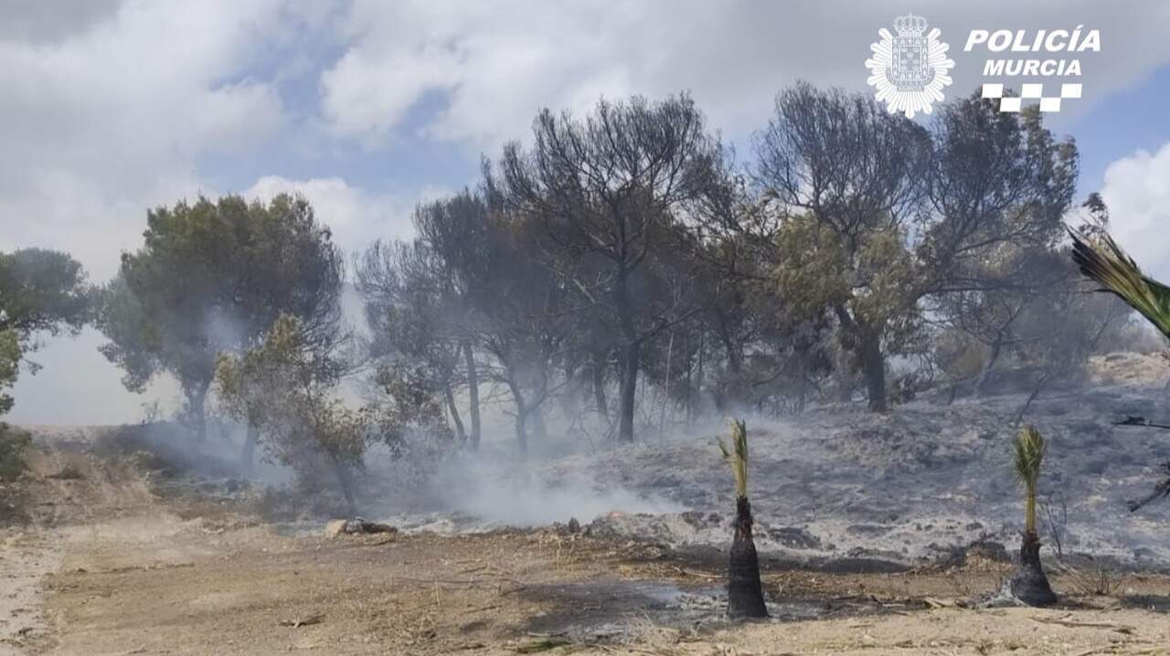 Estabilizado el incendio en la Sierra de Columbares de la pedanía murciana de Gea y Truyols