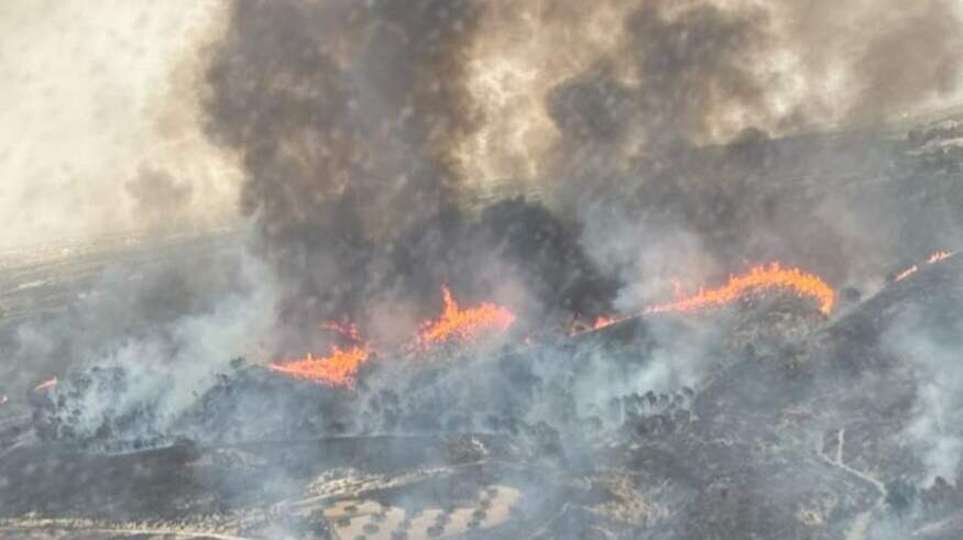 Incendio forestal en La Pinilla, Fuente Álamo: servicios de emergencias trabajan para controlar las llamas