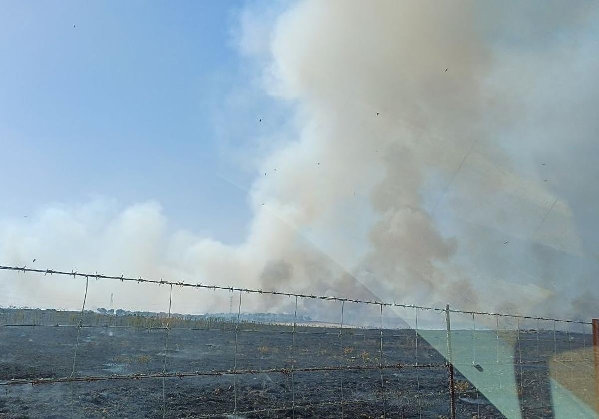 Incendio forestal: Un incendio en Ruanes de nivel 1 obliga a cortar la carretera que conecta el municipio con Ibahernando