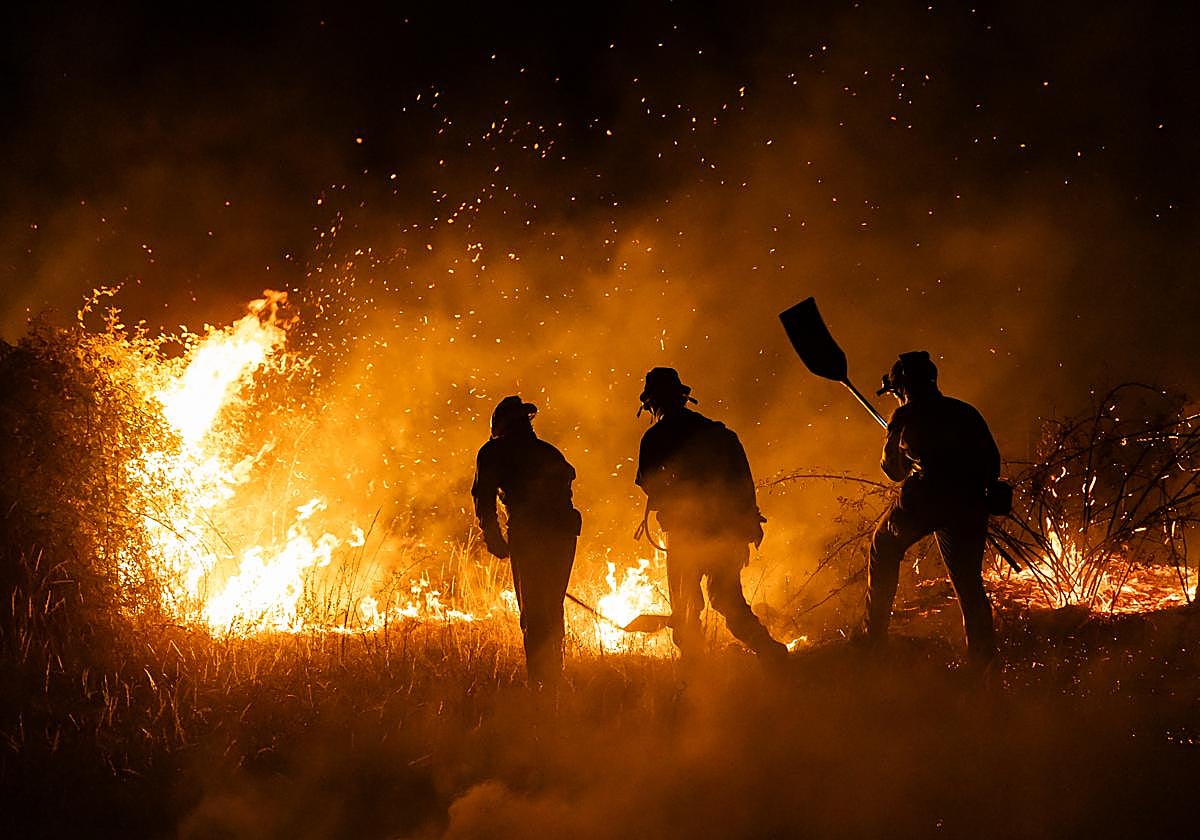 Incendio forestal en Zamora roza Salamanca: desalojan a casi 1.000 personas y continúa la emergencia con elevado riesgo