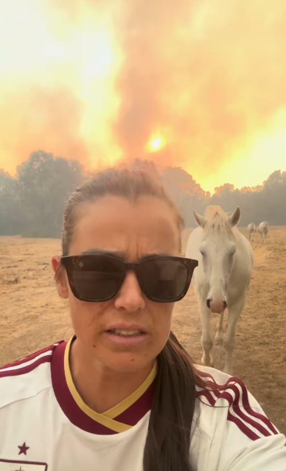 De la celebración del Mundial a huir con sus caballos