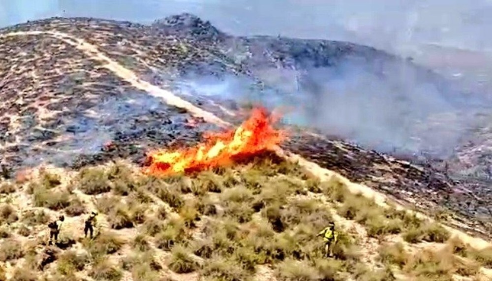 La BRIF combate en «primera línea» el fuego en Los Gallardos