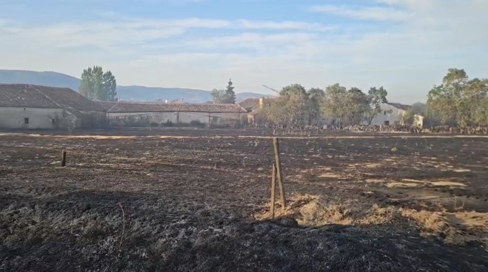 La evolución del incendio de Brieva es favorable