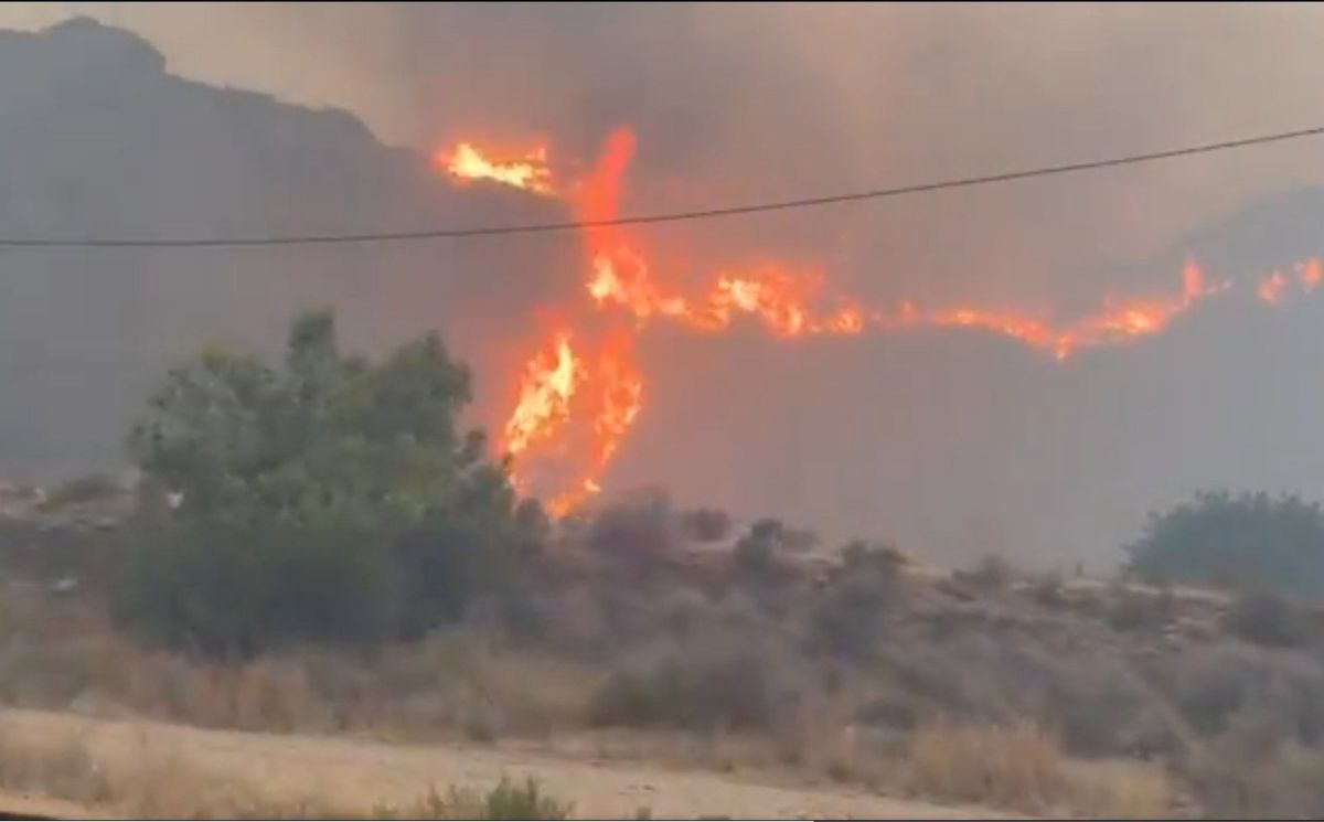 Once muertos y ocho heridos, cuatro graves, en el incendio forestal de Los Gallardos (Almería)