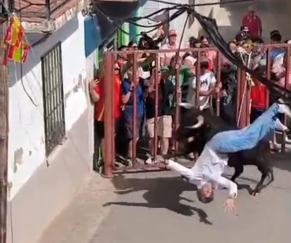 Susto en los encierros de Mestanza: Hombre embestido y golpeado por un toro durante las fiestas de San Pantaleón