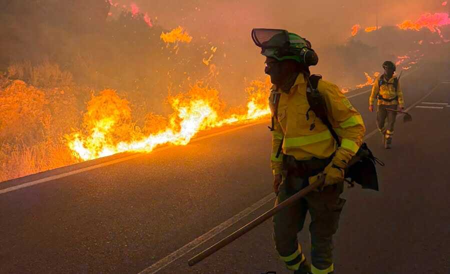 Once muertos y ocho heridos en el incendio de Los Gallardos, uno de los más graves de Andalucía