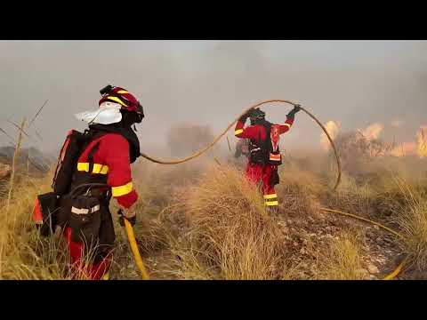 Unidades de la UME combaten el incendio de Los Gallardos