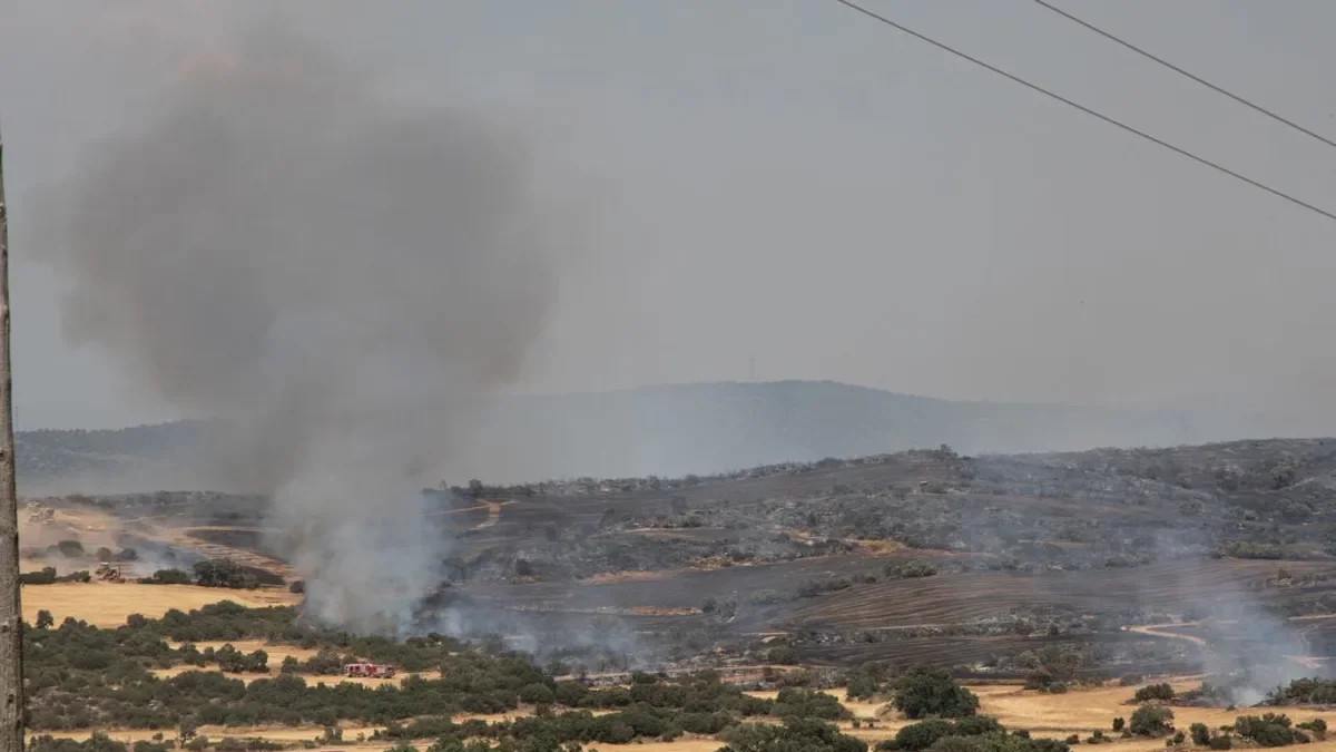 Un incendio en la Segarra calcina 113 hectáreas en plena ola de calor