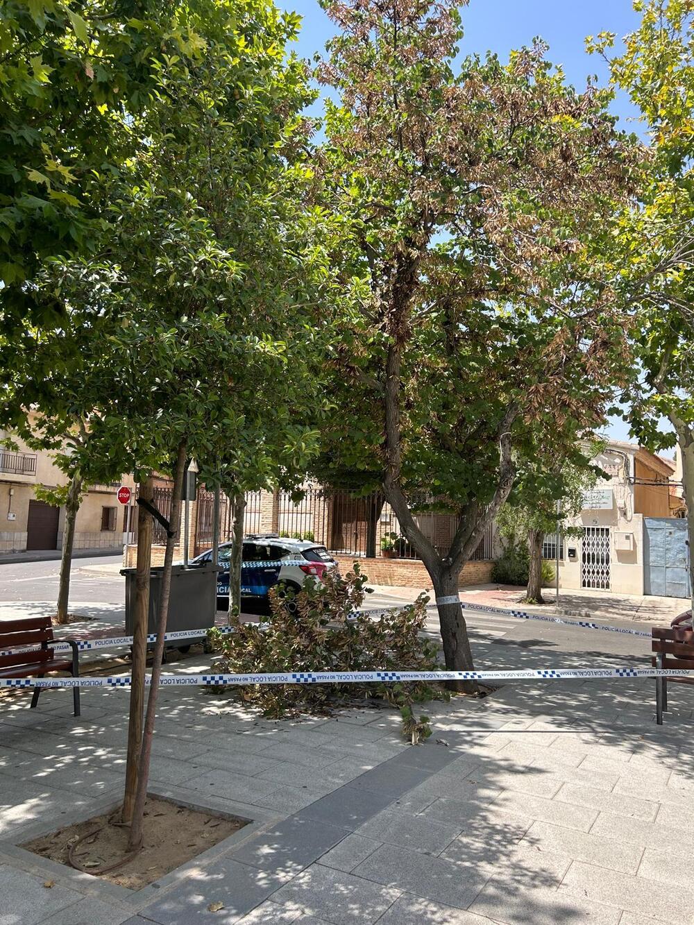 La caída de una rama golpea a una niña en Azucaica