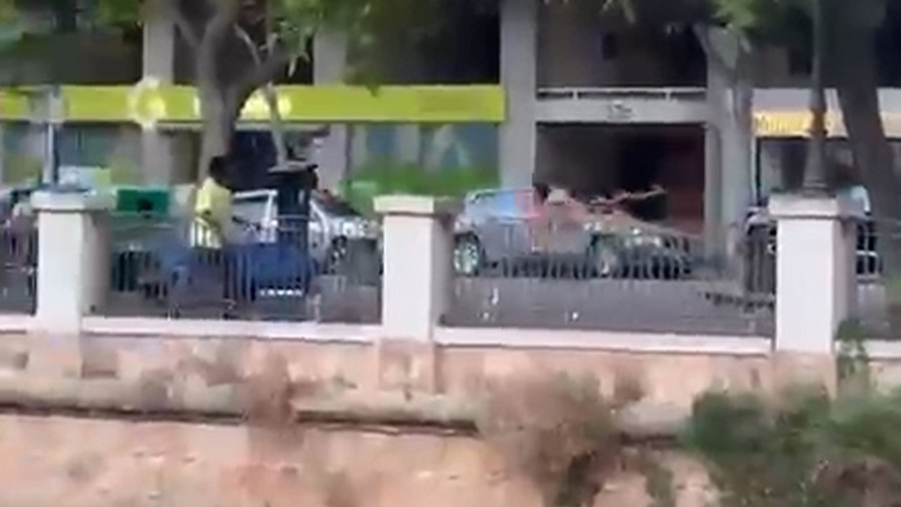 Ver vídeo