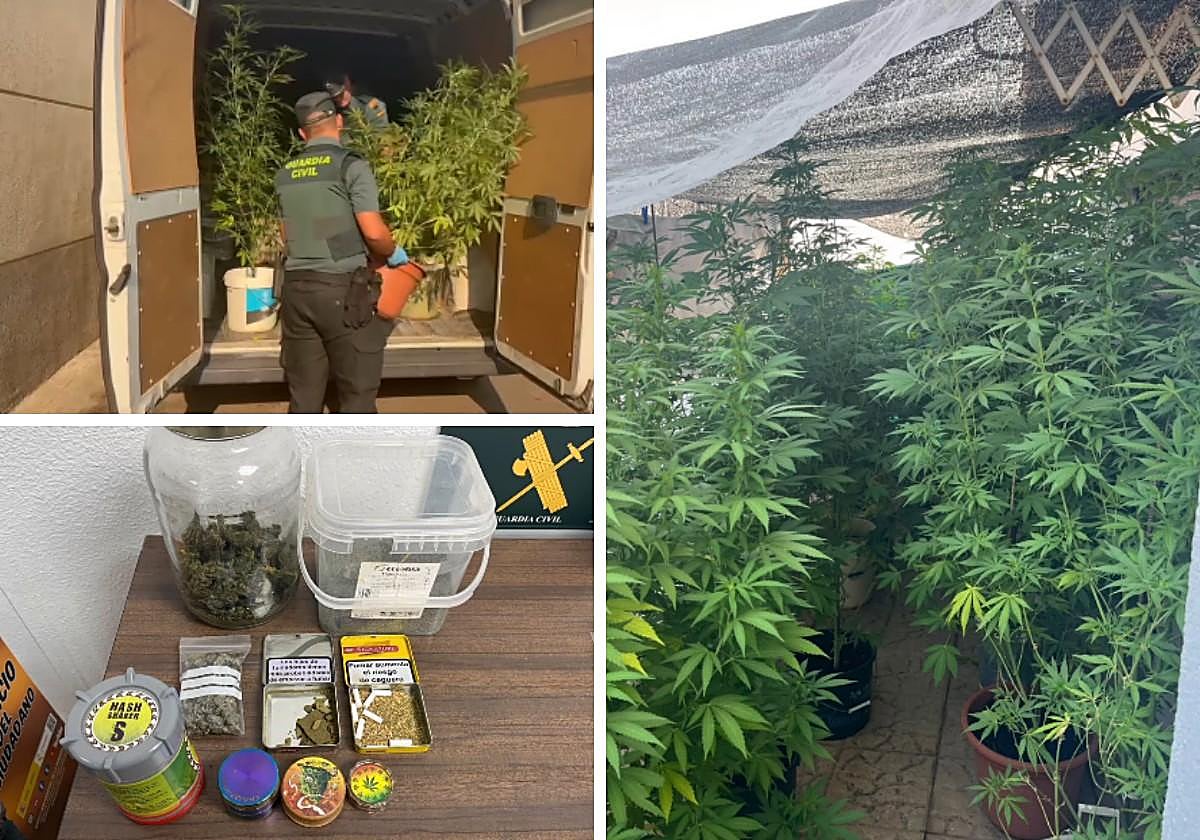 Detenido un hombre por cultivar marihuana en una vivienda de un pueblo de Salamanca