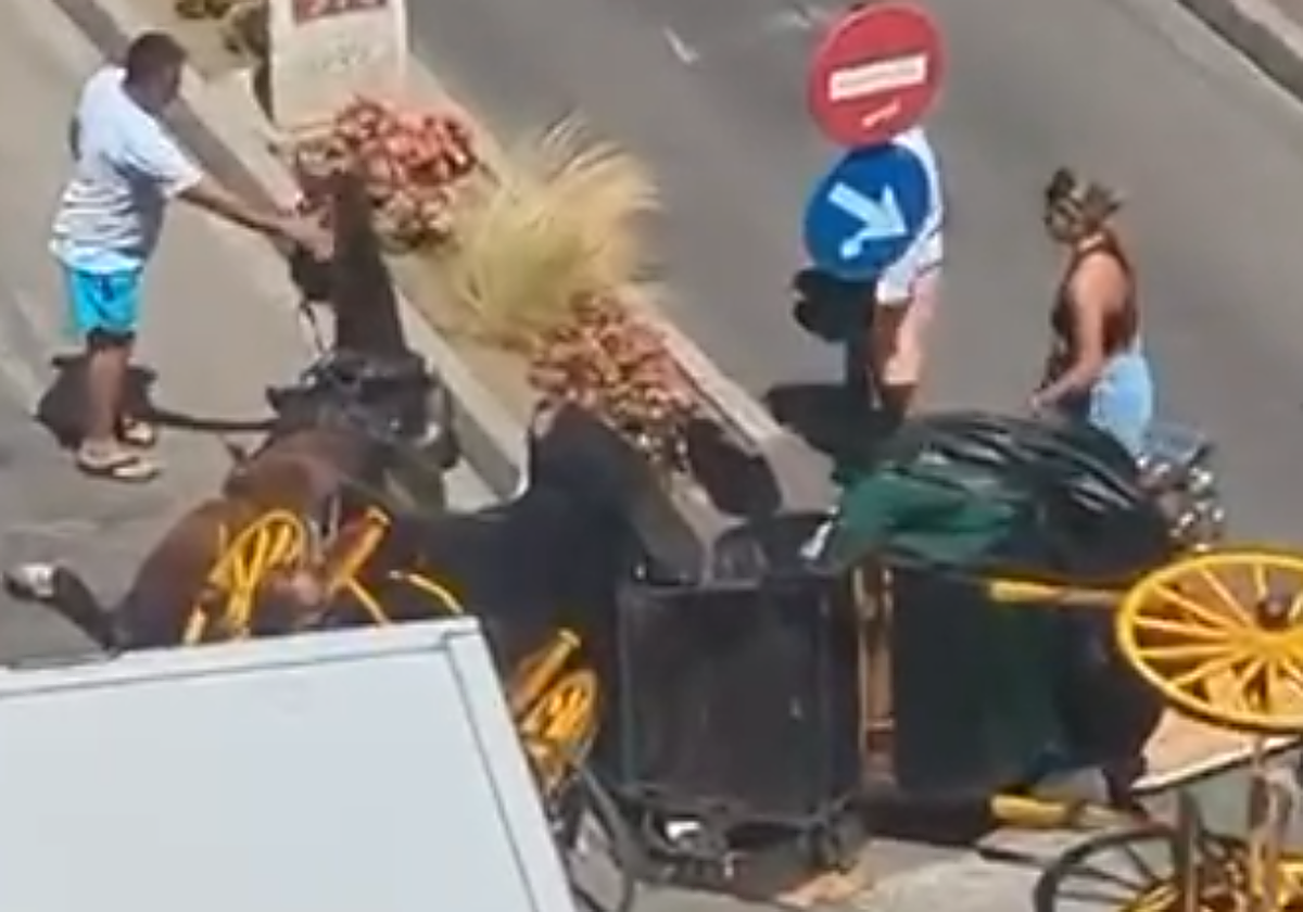 Un coche de caballos embiste una moto y un camión en Fuengirola: hay dos heridas