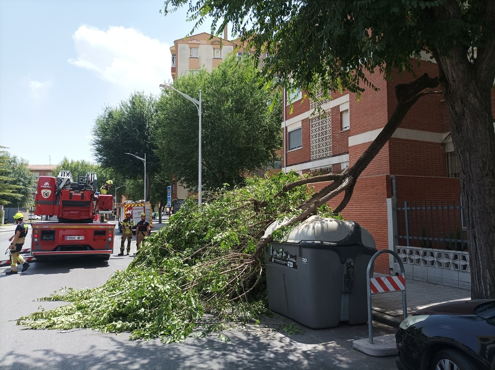 Los bomberos retiran una gran rama caída de un árbol