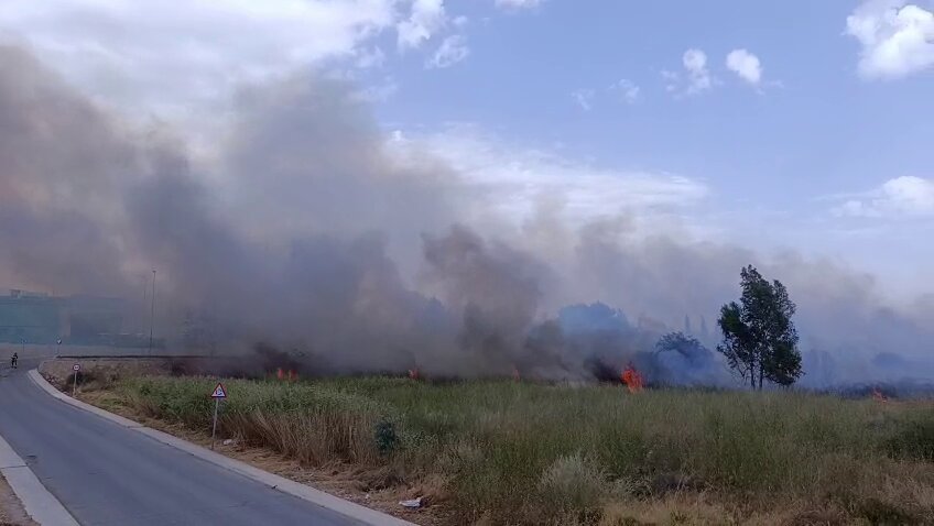 Los bomberos trabajan en la extinción de un incendio en el cauce del Guadalentín, en Lorca